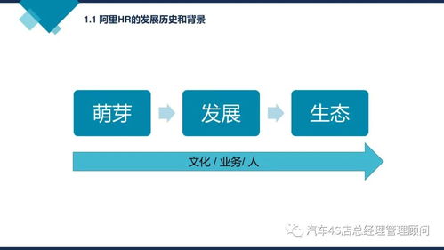 阿里巴巴组织能力建设 企业管理的核心路径